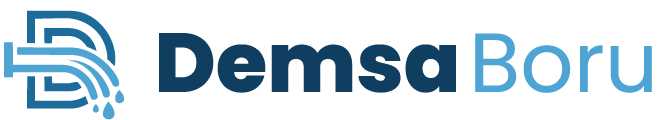 Demsa Boru